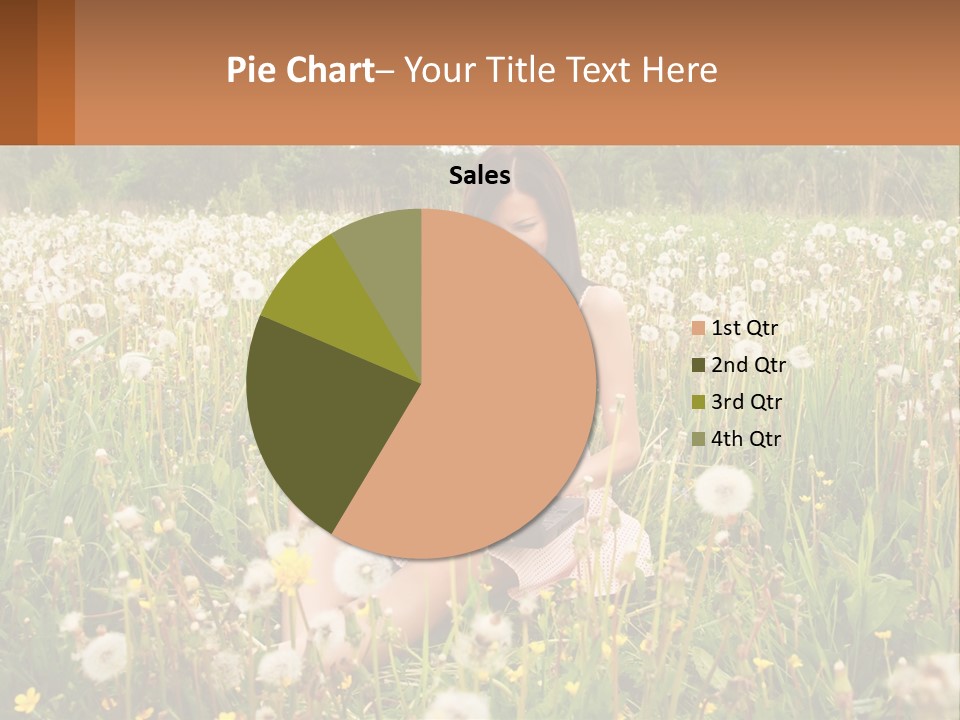 A Woman Sitting In A Field With A Laptop PowerPoint Template