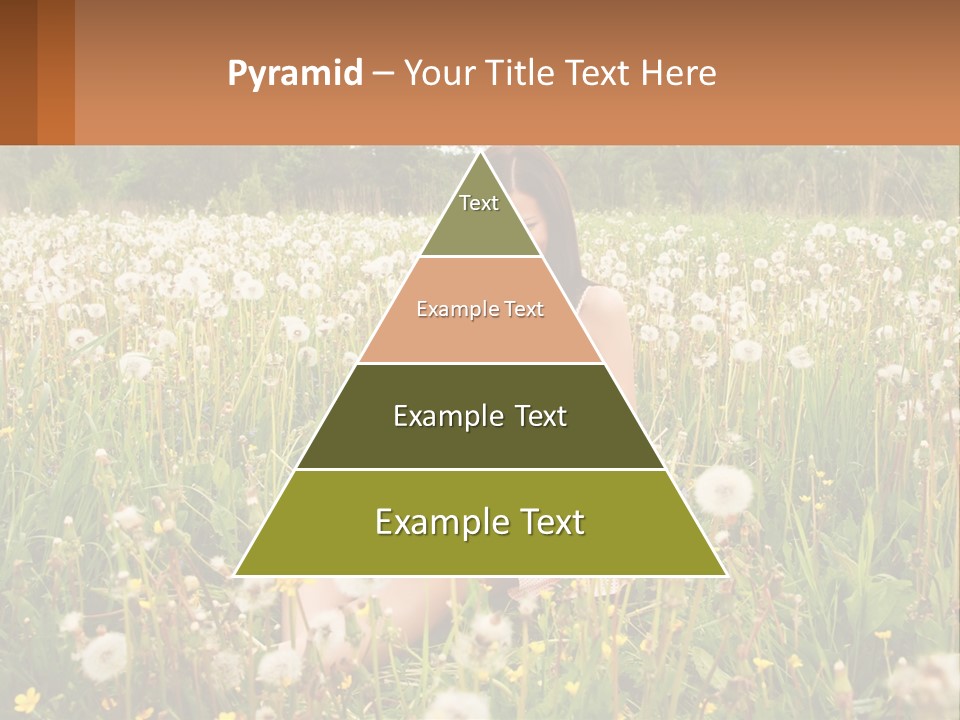 A Woman Sitting In A Field With A Laptop PowerPoint Template