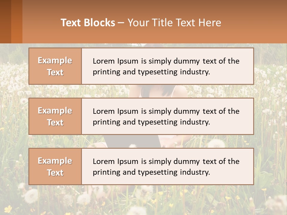 A Woman Sitting In A Field With A Laptop PowerPoint Template