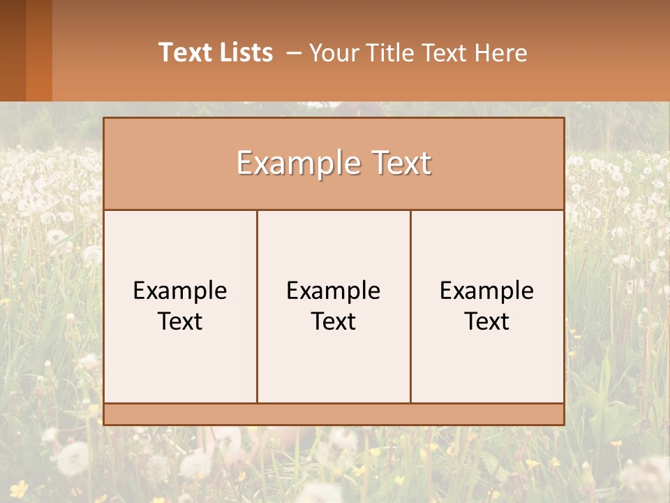 A Woman Sitting In A Field With A Laptop PowerPoint Template
