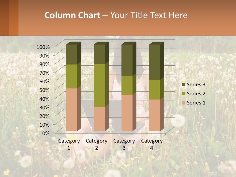 A Woman Sitting In A Field With A Laptop PowerPoint Template