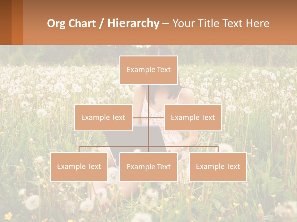 A Woman Sitting In A Field With A Laptop PowerPoint Template