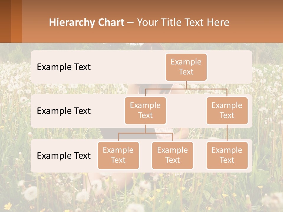 A Woman Sitting In A Field With A Laptop PowerPoint Template