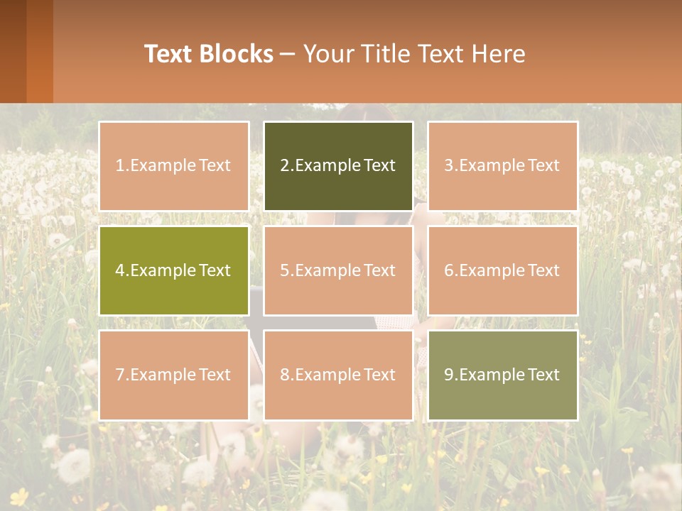 A Woman Sitting In A Field With A Laptop PowerPoint Template