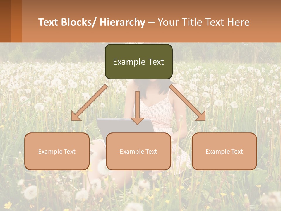 A Woman Sitting In A Field With A Laptop PowerPoint Template