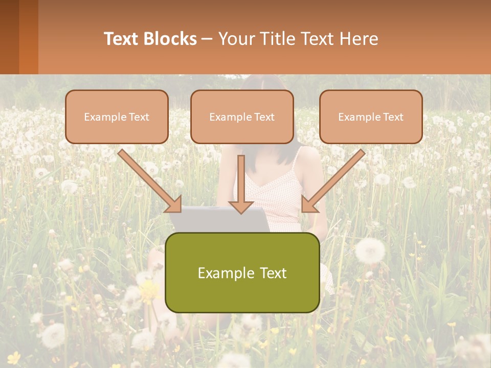 A Woman Sitting In A Field With A Laptop PowerPoint Template