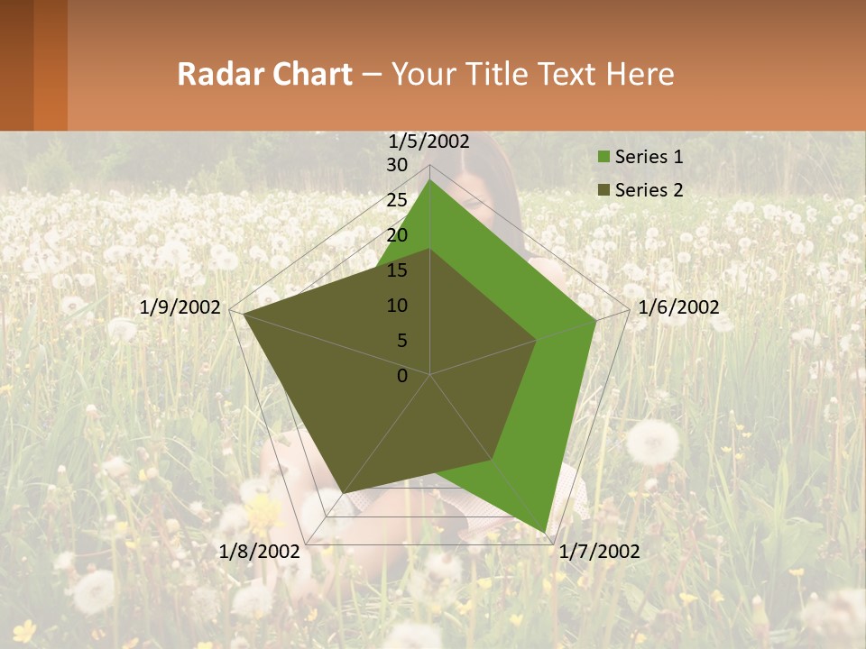 A Woman Sitting In A Field With A Laptop PowerPoint Template