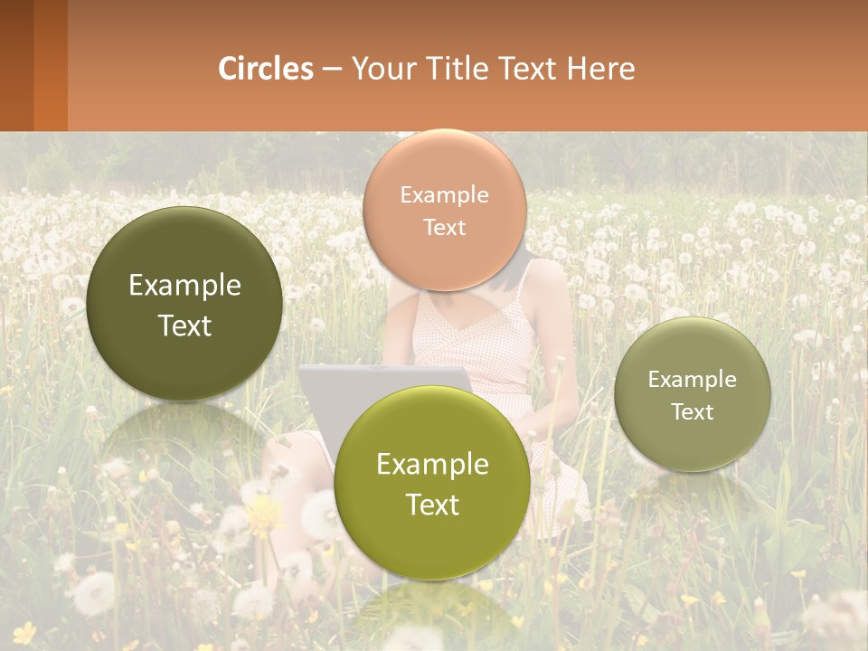 A Woman Sitting In A Field With A Laptop PowerPoint Template