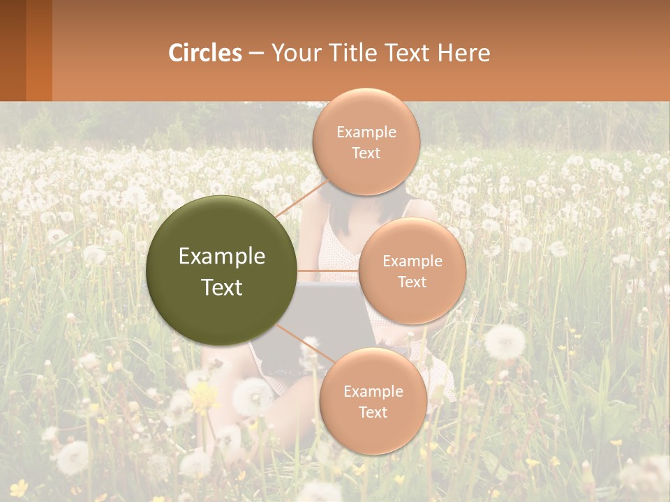 A Woman Sitting In A Field With A Laptop PowerPoint Template