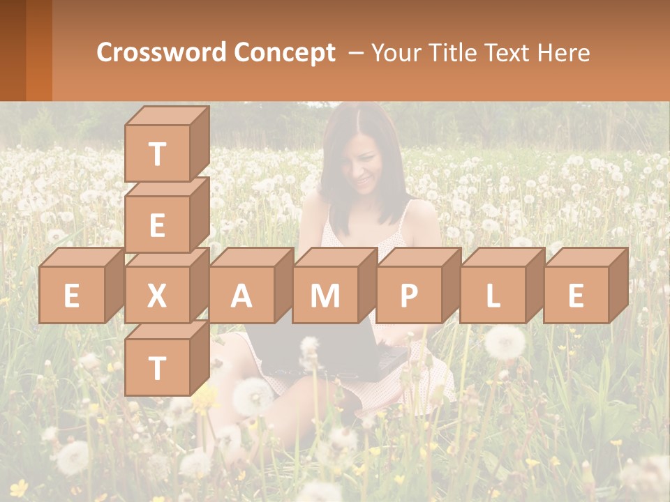 A Woman Sitting In A Field With A Laptop PowerPoint Template