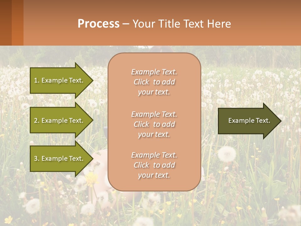 A Woman Sitting In A Field With A Laptop PowerPoint Template