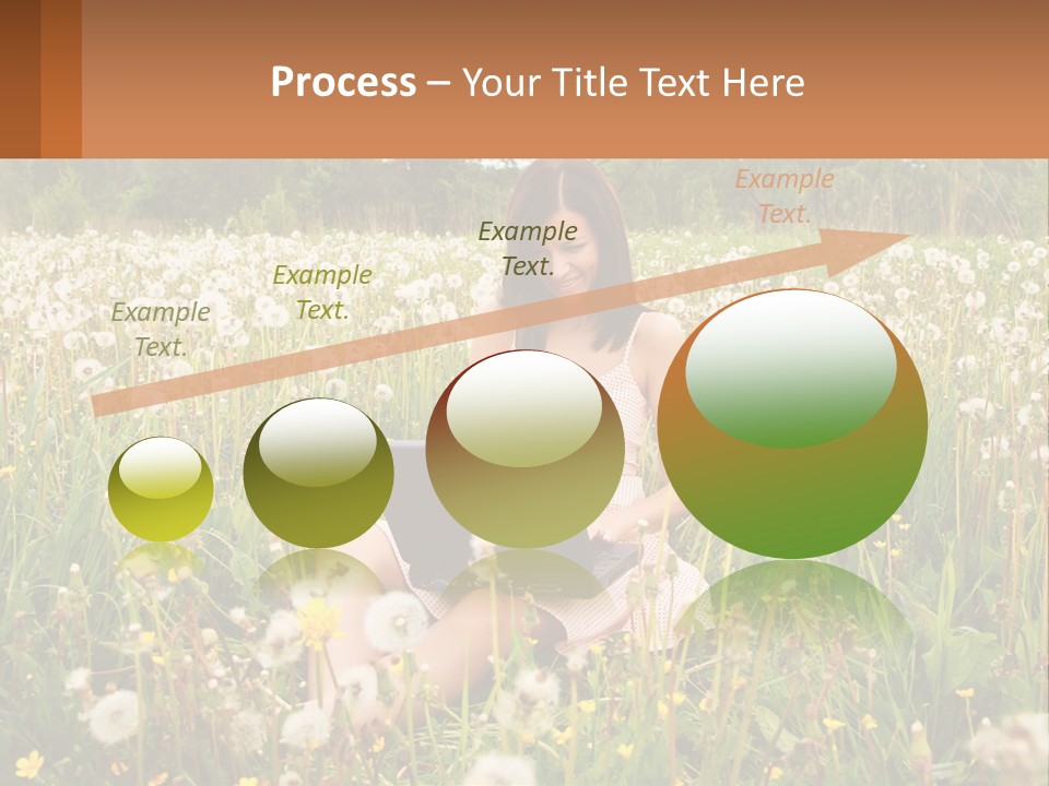 A Woman Sitting In A Field With A Laptop PowerPoint Template