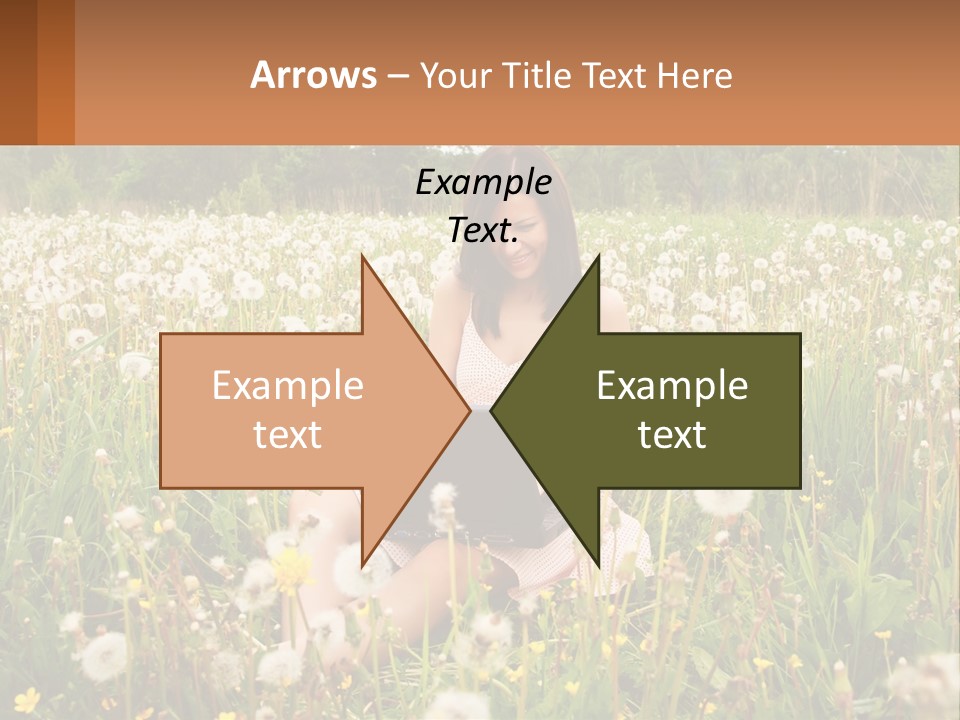 A Woman Sitting In A Field With A Laptop PowerPoint Template