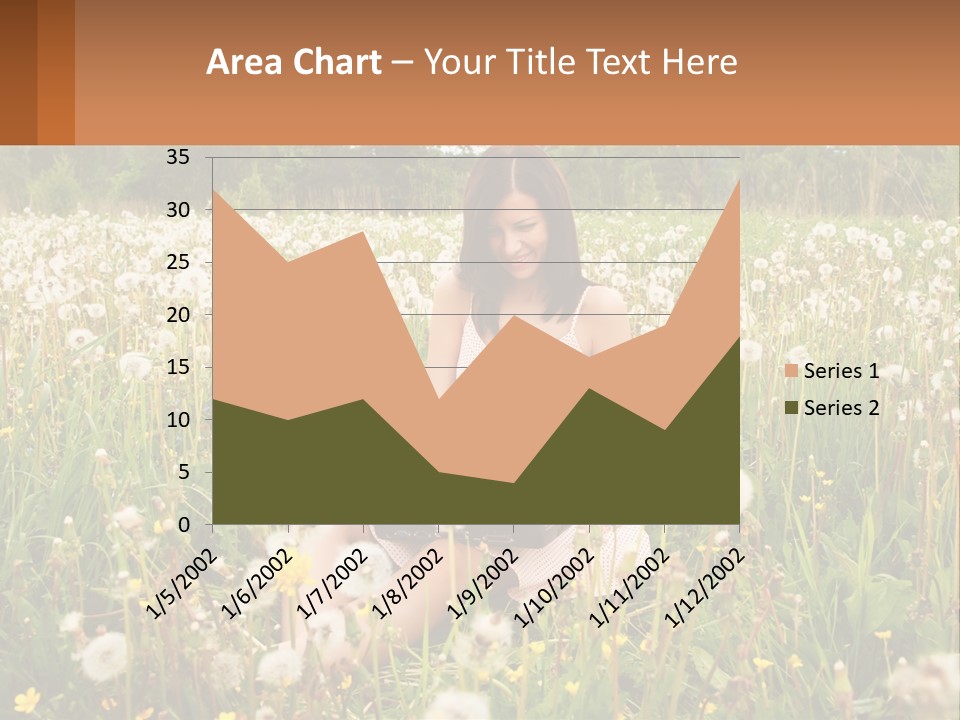 A Woman Sitting In A Field With A Laptop PowerPoint Template