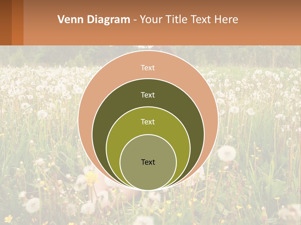 A Woman Sitting In A Field With A Laptop PowerPoint Template