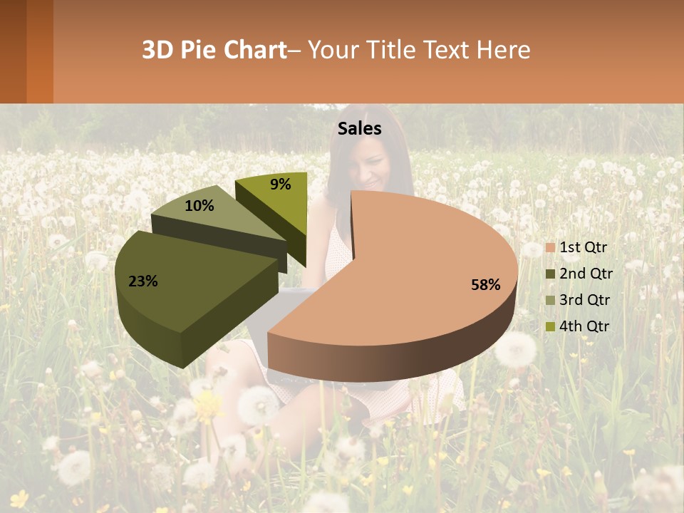A Woman Sitting In A Field With A Laptop PowerPoint Template