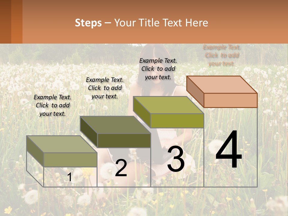 A Woman Sitting In A Field With A Laptop PowerPoint Template