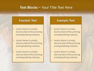 A Woman Sitting At A Desk With A Calculator PowerPoint Template