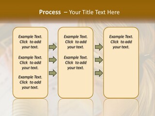 A Woman Sitting At A Desk With A Calculator PowerPoint Template