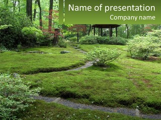 A Green Garden With A Path In The Middle Of It PowerPoint Template
