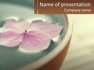 A Pink Flower Floating In A Bowl Of Water PowerPoint Template