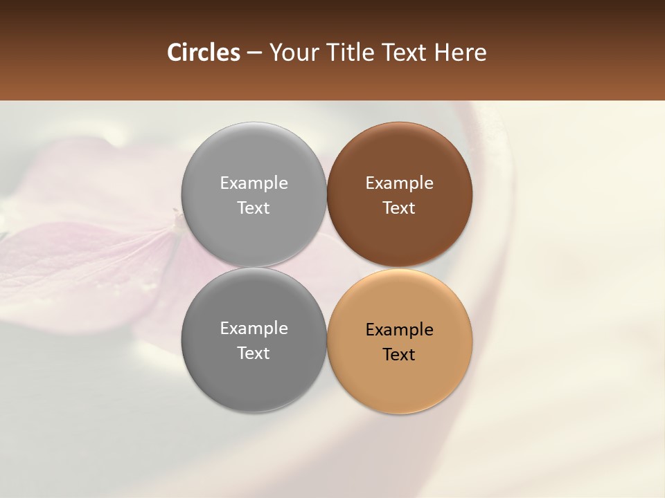 A Pink Flower Floating In A Bowl Of Water PowerPoint Template