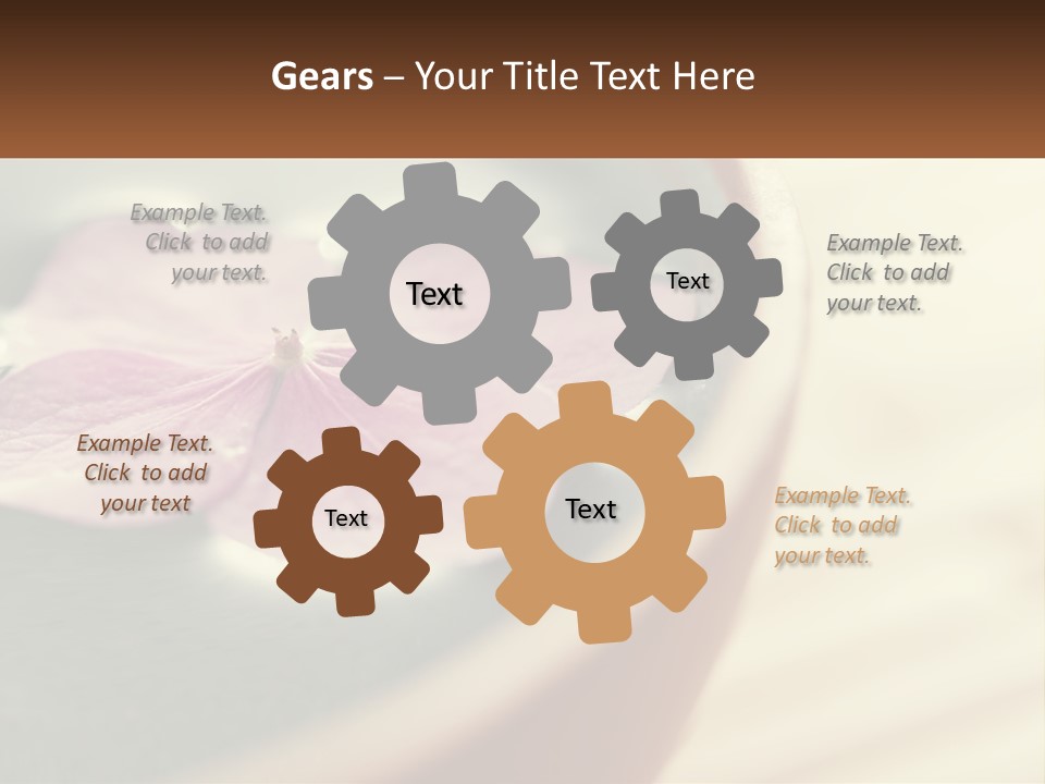 A Pink Flower Floating In A Bowl Of Water PowerPoint Template