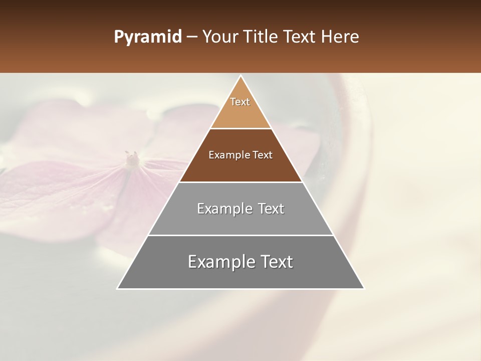 A Pink Flower Floating In A Bowl Of Water PowerPoint Template