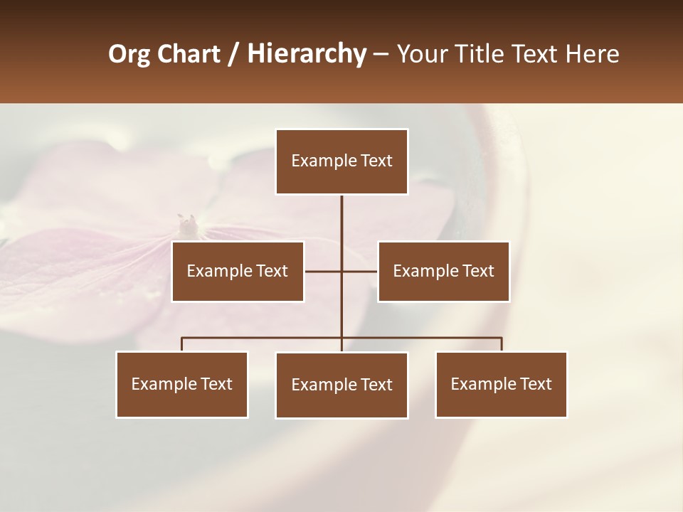 A Pink Flower Floating In A Bowl Of Water PowerPoint Template