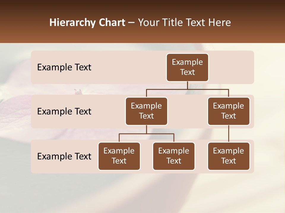 A Pink Flower Floating In A Bowl Of Water PowerPoint Template