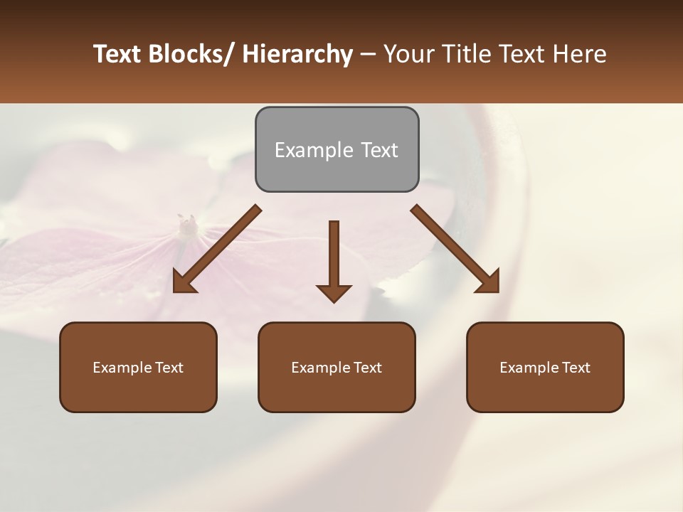 A Pink Flower Floating In A Bowl Of Water PowerPoint Template