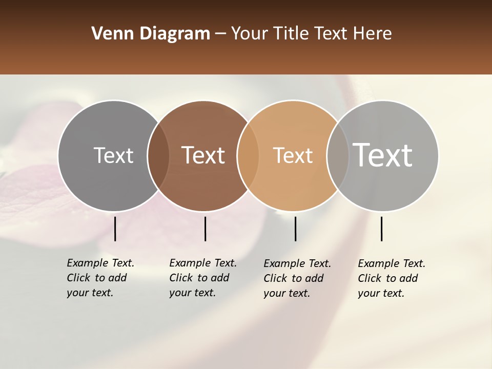 A Pink Flower Floating In A Bowl Of Water PowerPoint Template