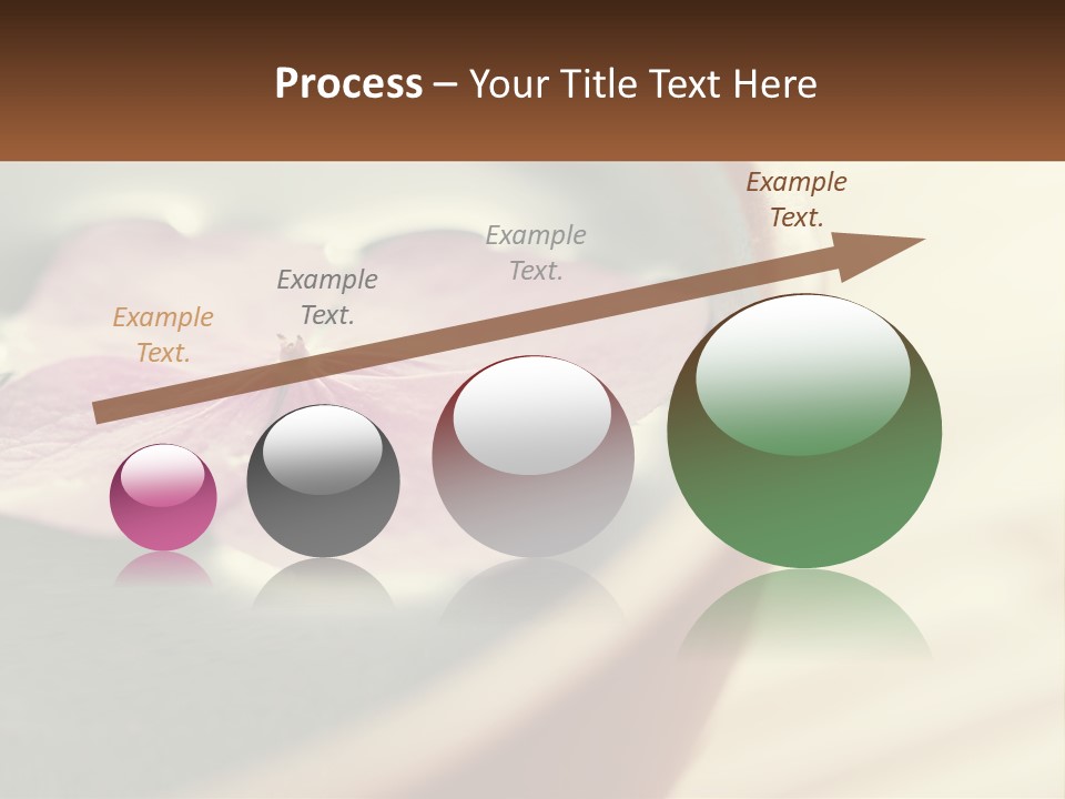 A Pink Flower Floating In A Bowl Of Water PowerPoint Template