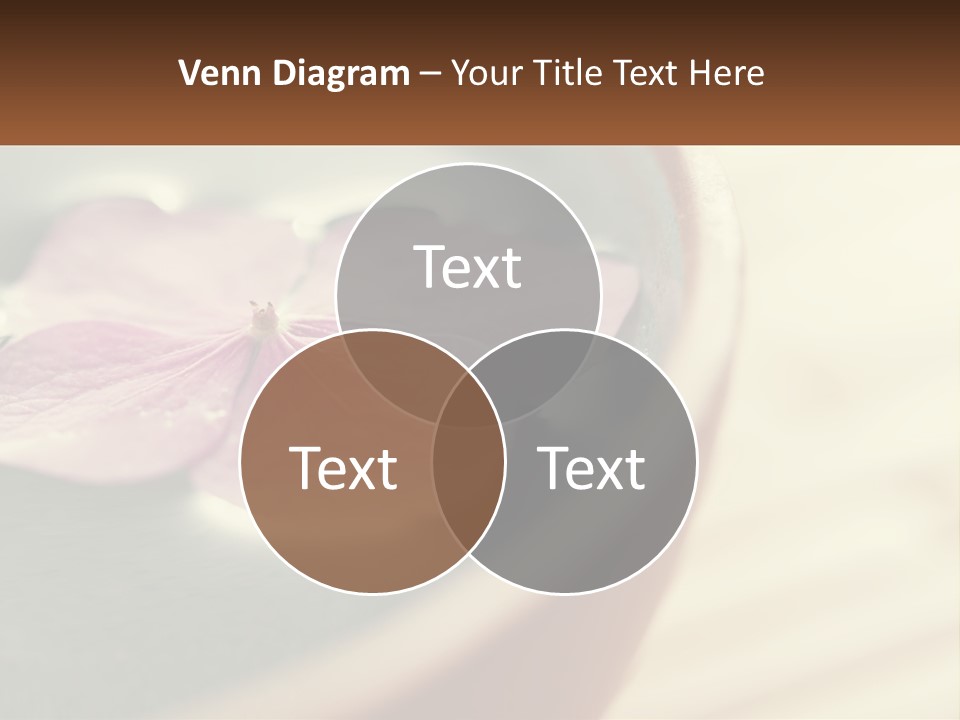 A Pink Flower Floating In A Bowl Of Water PowerPoint Template