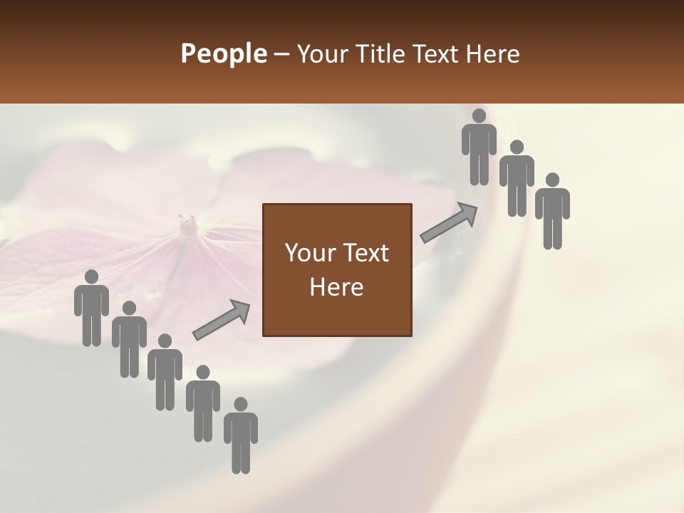 A Pink Flower Floating In A Bowl Of Water PowerPoint Template