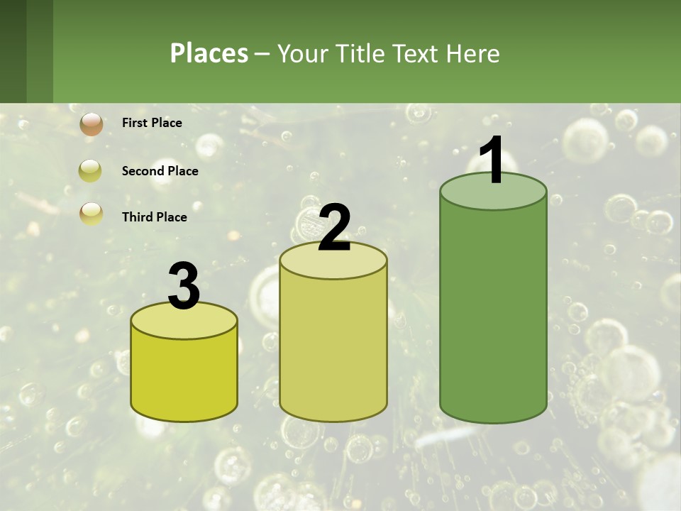 A Green Plant With Water Droplets On It PowerPoint Template