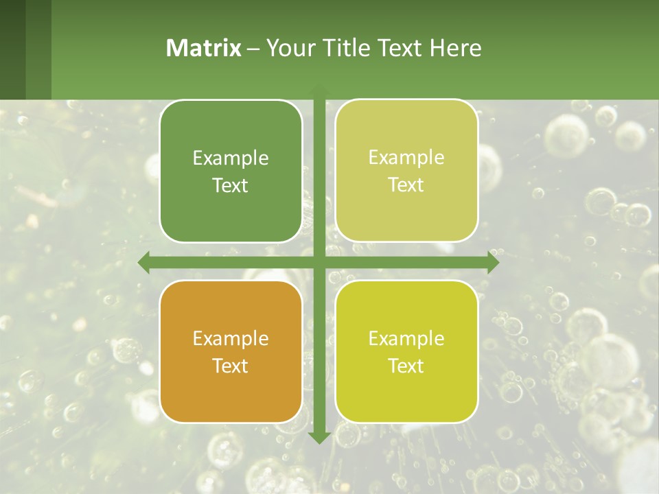 A Green Plant With Water Droplets On It PowerPoint Template