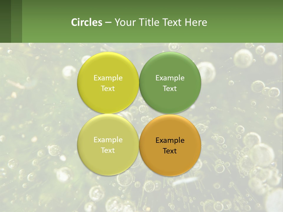 A Green Plant With Water Droplets On It PowerPoint Template