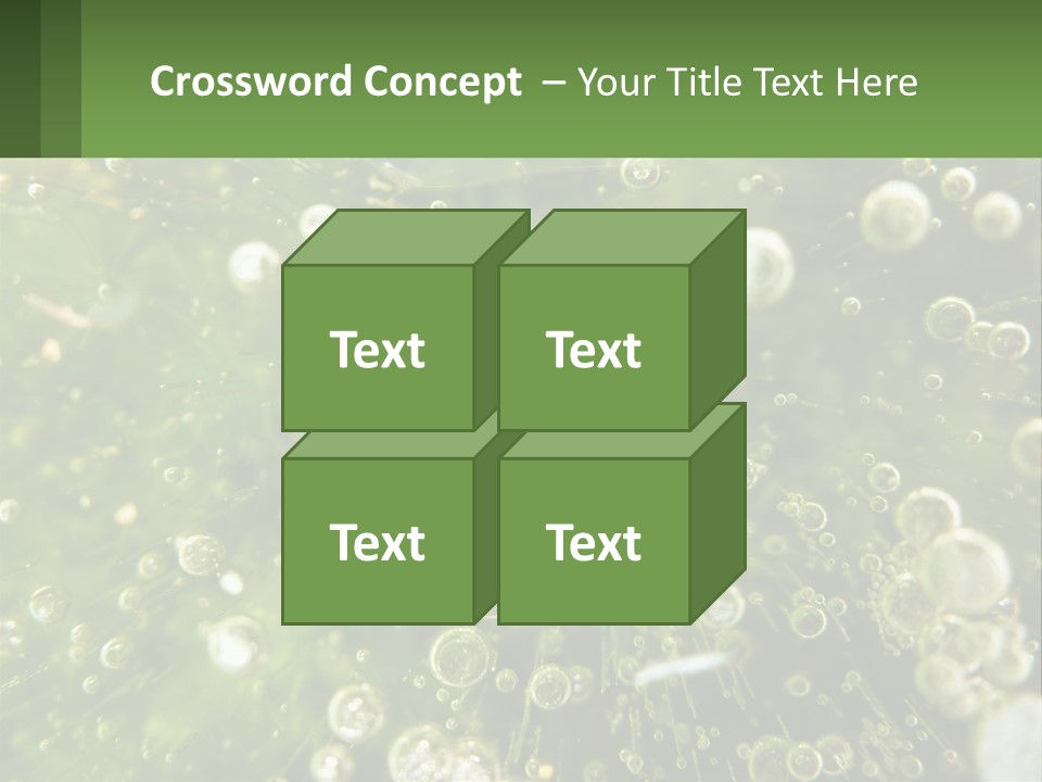 A Green Plant With Water Droplets On It PowerPoint Template