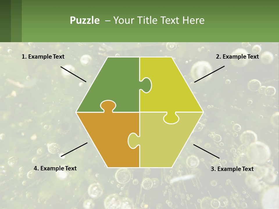 A Green Plant With Water Droplets On It PowerPoint Template