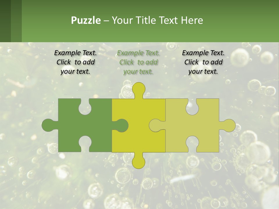 A Green Plant With Water Droplets On It PowerPoint Template