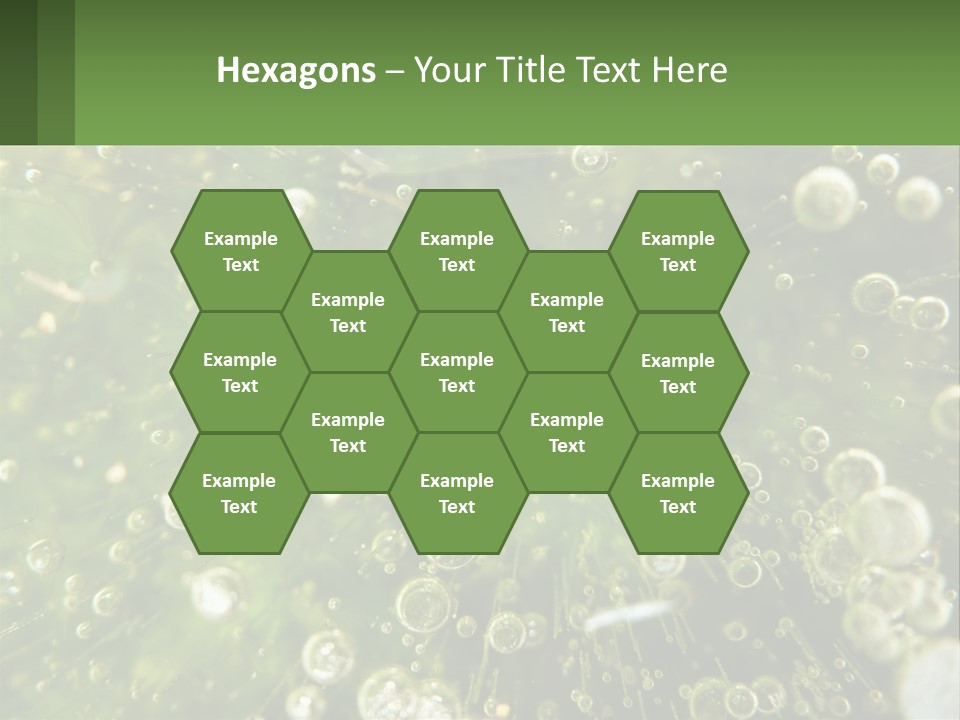 A Green Plant With Water Droplets On It PowerPoint Template