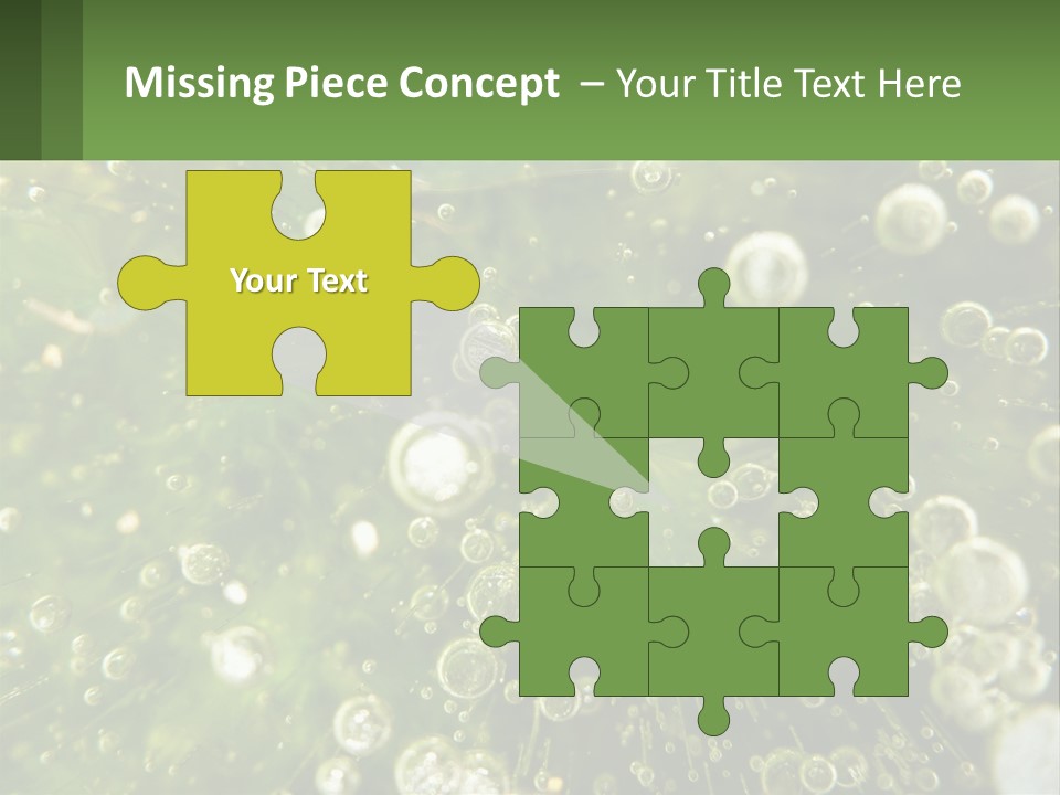 A Green Plant With Water Droplets On It PowerPoint Template