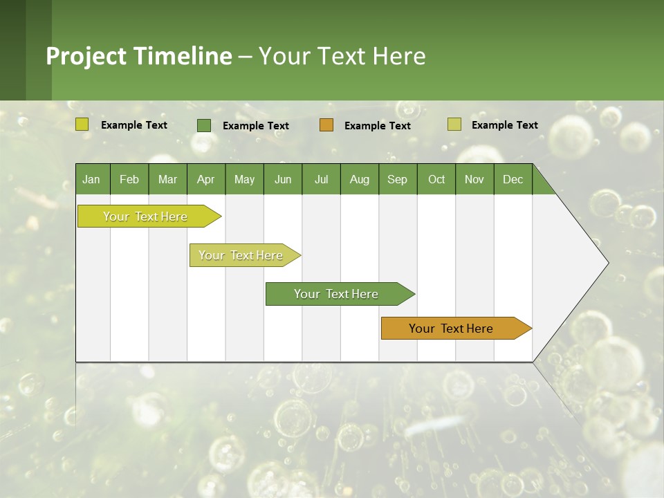A Green Plant With Water Droplets On It PowerPoint Template