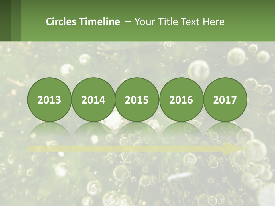 A Green Plant With Water Droplets On It PowerPoint Template