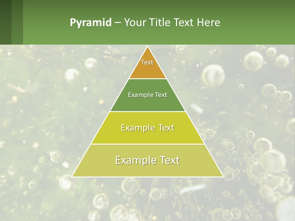 A Green Plant With Water Droplets On It PowerPoint Template