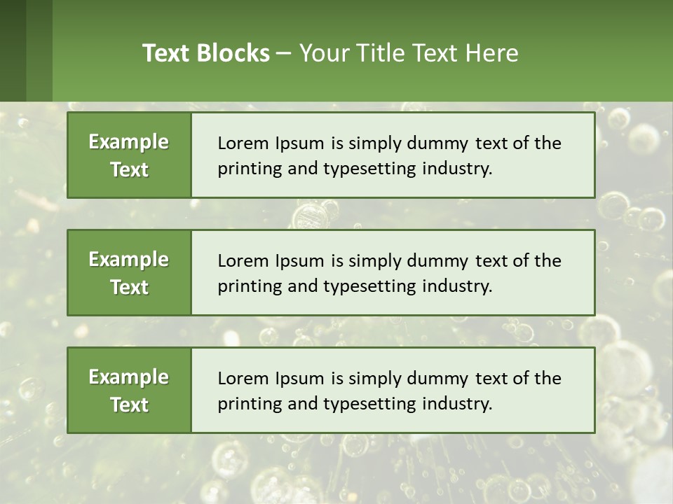 A Green Plant With Water Droplets On It PowerPoint Template