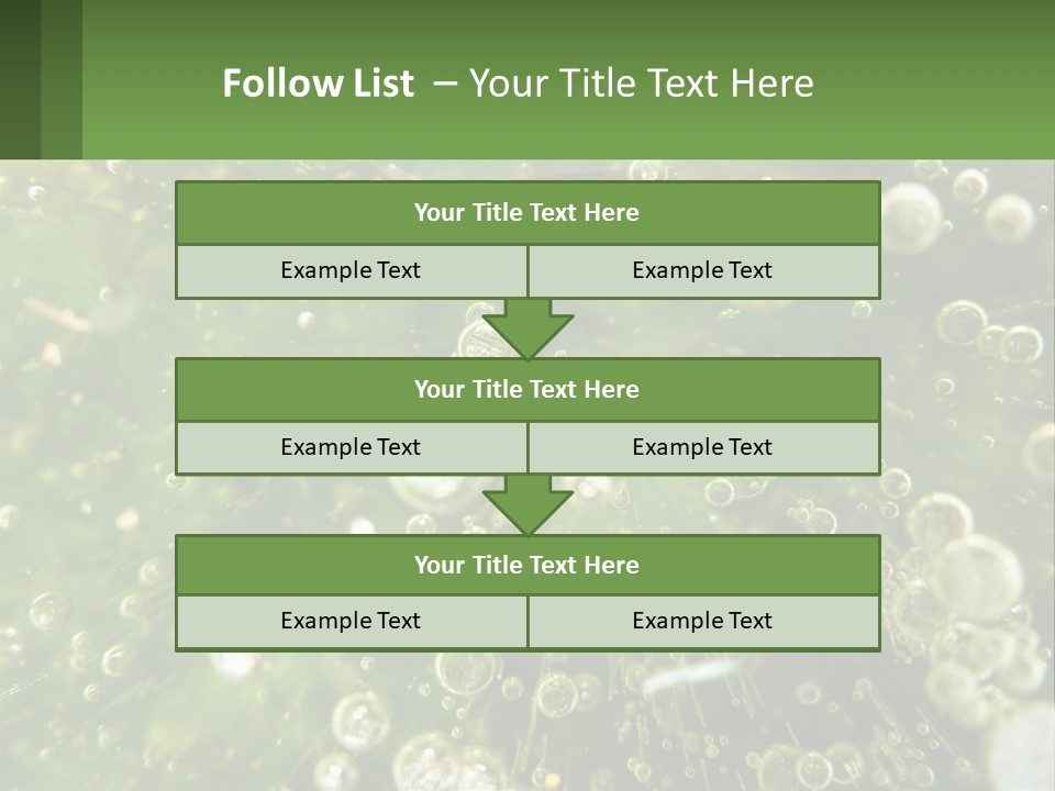 A Green Plant With Water Droplets On It PowerPoint Template