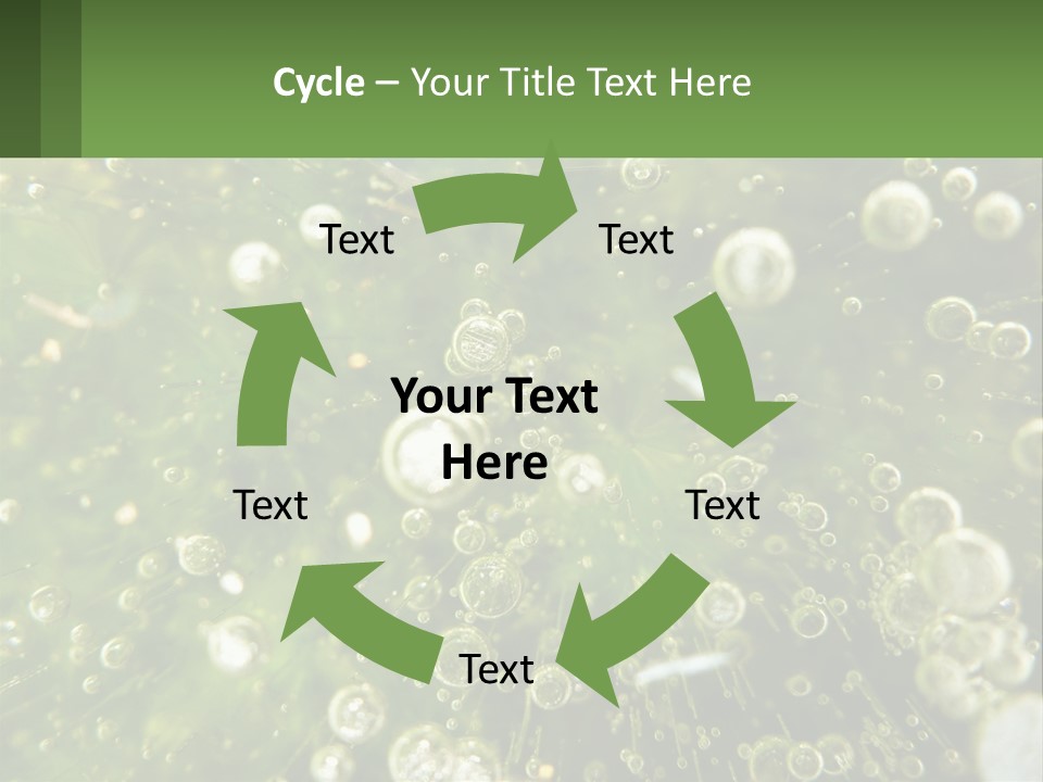 A Green Plant With Water Droplets On It PowerPoint Template