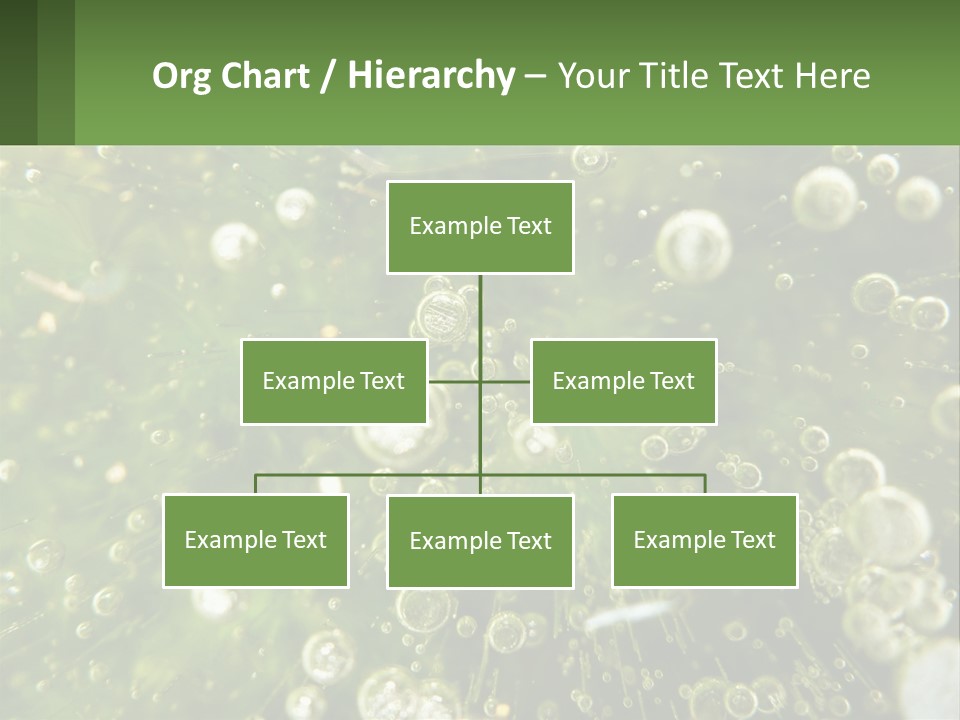 A Green Plant With Water Droplets On It PowerPoint Template
